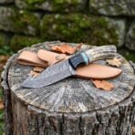 Damascus gut hook hunting knife with ram horn, black buffalo horn and turquoise spacer handle on a stump with tan leather sheath
