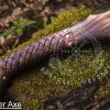 RK-353 Custom Gift Forged Carbon Steel Viking Axe with Rose Wood Shaft, Viking Bearded Camping Axe, Best Birthday&Anniversary Gift For Him - Image 6
