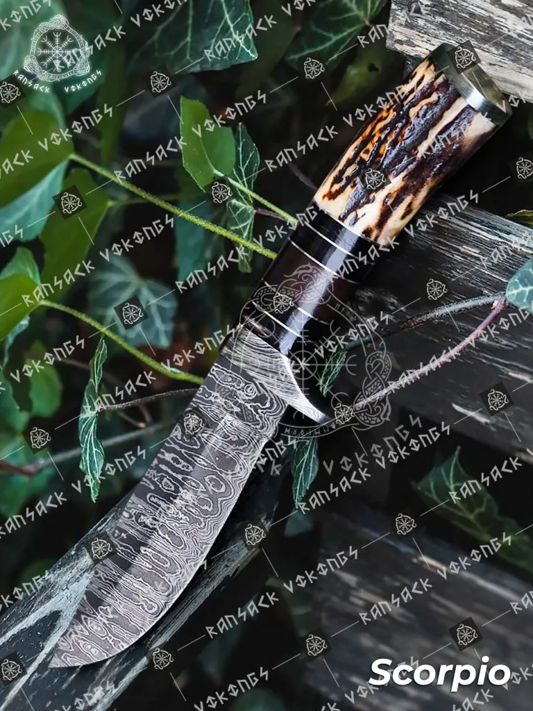 Damascus Skinner Knife, Hand-Forged, Stag Horn Handle, Leather Sheath
