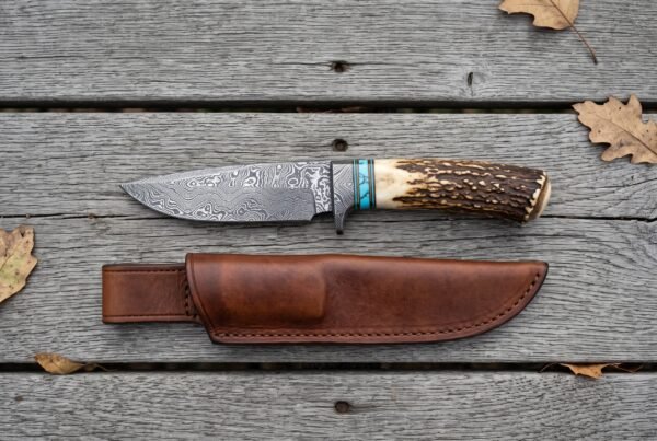 Overhead view of a Damascus hunting knife with stag antler handle and turquoise spacers above its leather sheath