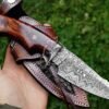 RK-331 Bobcat 10' Damascus knife, Damascus Fixed Blade ,Hunting knife , Damascus Skinner knife, Damascus steel knife, Camping knife Walnut Wood - Image 4