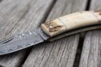 Close view of a Damascus folding knife blade pattern and stag bolster against the bone handle on grey wood