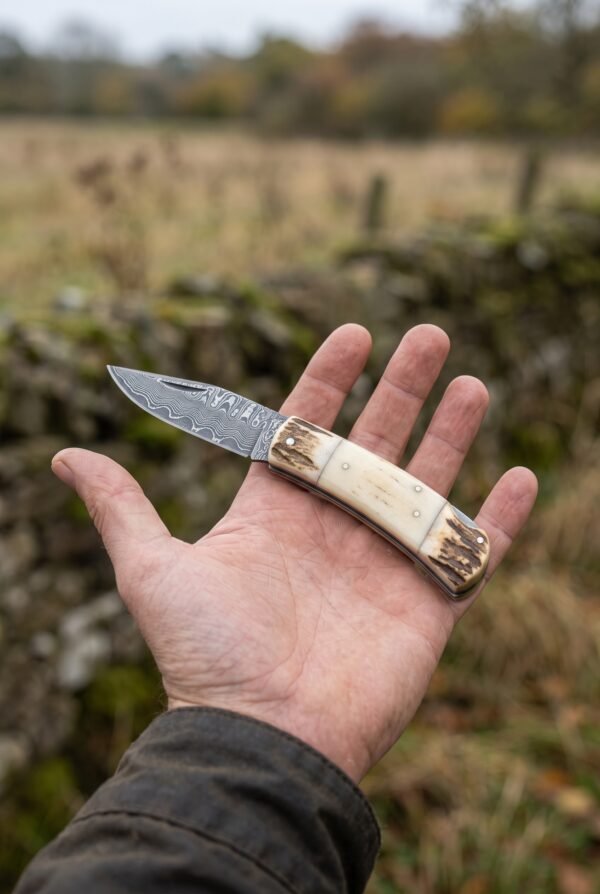 Damascus folding pocket knife with bone handle and stag bolsters lying open in a flat palm in a field