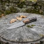 Damascus skinner knife with walnut and pakka wood handle on a mossy tree stump among dry oak leaves