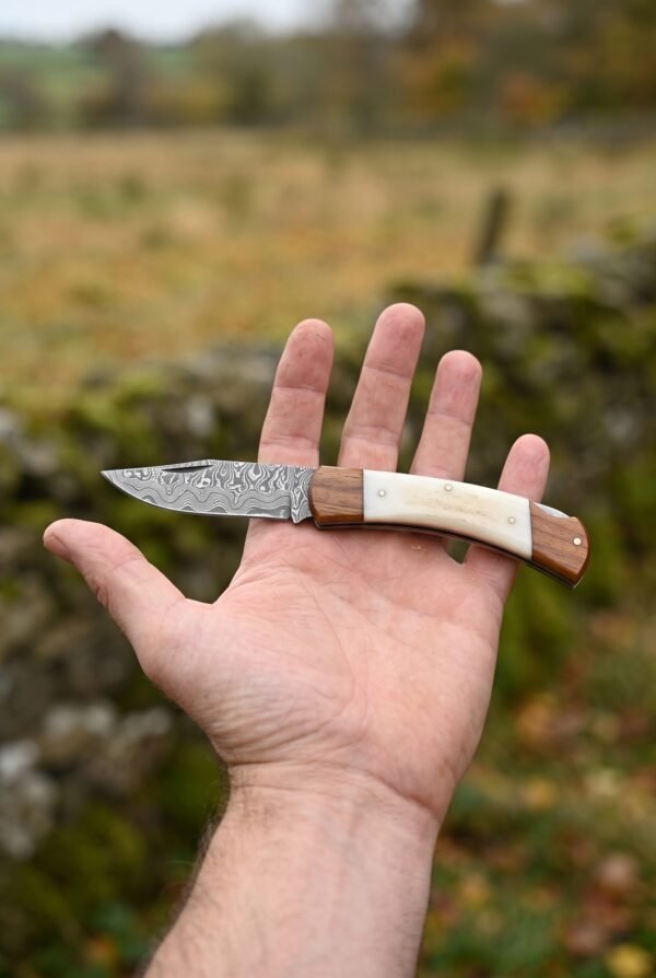 Small Damascus knife with white bone handle and wood bolsters resting open on a flat palm outdoors