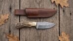 Ramcrest Hand Forged Damascus Skinner Knife with Ram Horn Handle & Leather Sheath | Compact Hunting and Collector Gift | RK-408