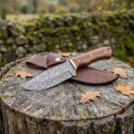 Damascus skinner knife with wood handle laid on a tree stump in front of its brown leather sheath and oak leaves