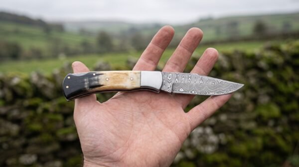 Damascus folding pocket knife held open on a flat palm with a bone and dark horn handle against green hills