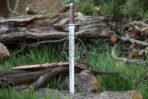 Sword — Hand-Forged D2 Steel, Olive Wood Handle, Sheath Included - Image 4