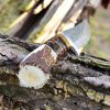 RK-496 Handmade Damascus Skinner Camping Knife Stag Horn Handle Forged Damascus Knives Beautiful Art Best Gift For Him and Her USA made Knives - Image 7