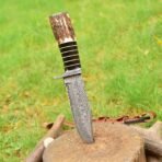Damascus Skinner Knife — Hand-Forged, Stag Horn Handle, Leather Sheath (RK-411) - Image 3