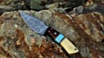 Damascus Skinner Knife — Hand-Forged, Stag Horn Handle, Leather Sheath (RK-429) - Image 2