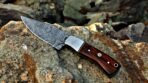 Damascus Skinner Knife — Hand-Forged, Stag Horn Handle, Leather Sheath (RK-431) - Image 4