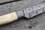 Camel bone handle and Damascus bolster of the knife in close view, steel pattern running into the blade