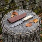 Damascus knife with camel bone handle on a tree stump with its brown leather sheath and autumn leaves