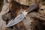 Damascus Skinner Knife — Hand-Forged, 10" Overall, Stag Horn Handle, Leather Sheath - Image 7
