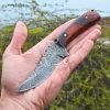 RK-547 Handmade Damascus Skinner knife with sheath | Rosewood Fixed Blade knife | Hunting knife| Utility knife | Camp | Outdoors | Gift for HIM/MEN - Image 5