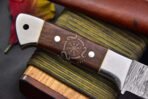 Damascus Skinner Knife — Hand-Forged, 8.6" Overall, Wood Handle, Leather Sheath - Image 4