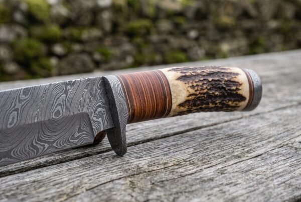 Damascus camp knife close up of the stag horn and stacked leather handle with the dark guard and patterned blade