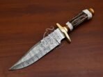 Damascus Bowie Knife — Hand-Forged, 11.5" Overall, Stag Horn Handle, Leather Sheath - Image 3