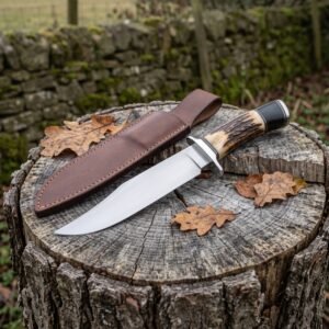 Stag horn handled bowie knife lying on a tree stump beside its brown leather sheath with fallen oak leaves around it