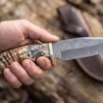 Ramcrown Hand Forged Damascus Hunting Knife with Ram Horn Handle | Hunting Camping and Collector Gift | RK-604