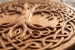 Carved wooden Viking shield face showing the tree of life trunk and roots, close up of the knotwork border
