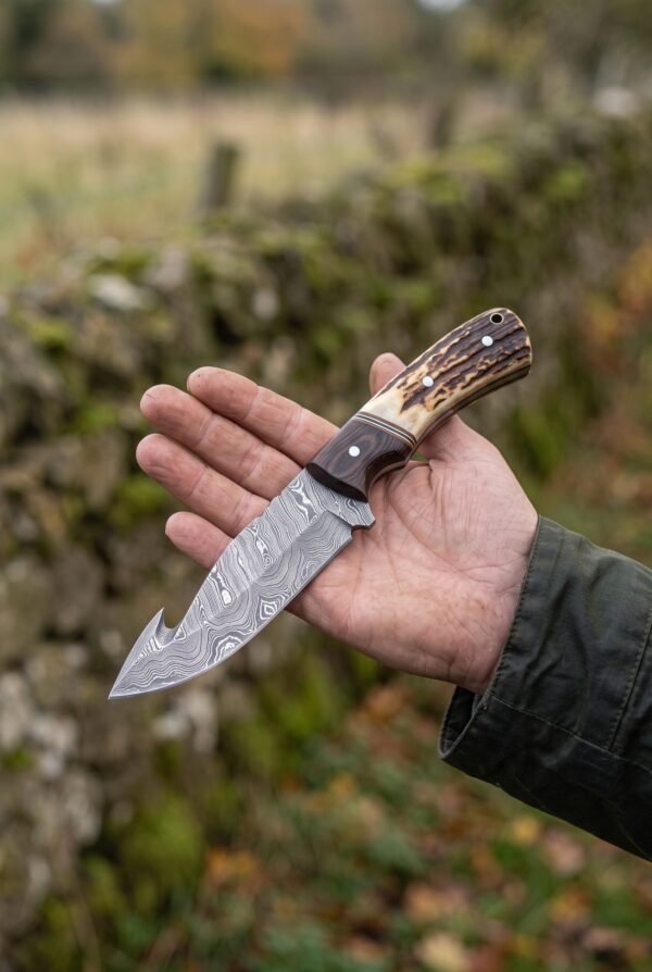 Damascus gut hook hunting knife with stag horn handle held in an open hand outdoors, gut hook and blade pattern visible