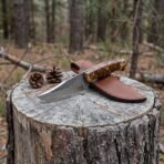 Skinner knife with a stabilised pine cone handle propped on a tree stump with its brown leather sheath and two pine cones