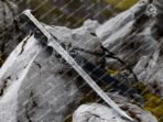Sword — Hand-Forged Stainless Steel (RK-680) - Image 4