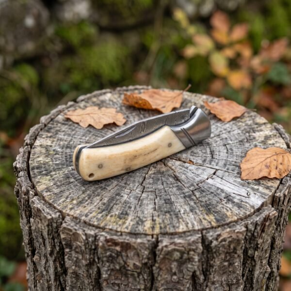 Closed Damascus folding pocket knife with cream bone handle and steel bolsters on a tree stump with autumn oak leaves