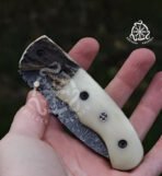 Damascus Folding Pocket Knife — Hand-Forged, Stag Horn Handle (RK-693) - Image 3