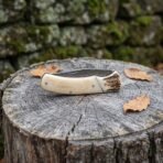 Folding pocket knife with camel bone handle and stag antler bolster shown closed on a tree stump with leaves