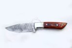 Damascus Skinner Knife — Hand-Forged, Stag Horn Handle, Leather Sheath – Style 2 - Image 2