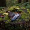 RK-1021 Handmade Damascus Folding Pocket Knife Blue Black Pakka Wood Handle - Image 2