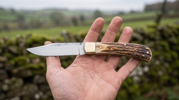 Open folding pocket knife with stag horn handle and brass bolster resting on an open palm outdoors