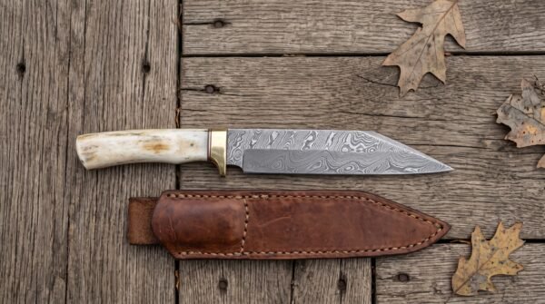 Damascus steel seax knife with bone handle and brass bolster above its stitched brown leather sheath on planks with oak leaves