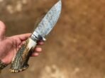Damascus Camp Knife — Hand-Forged, 11" Overall, Stag Horn Handle, Leather Sheath - Image 4