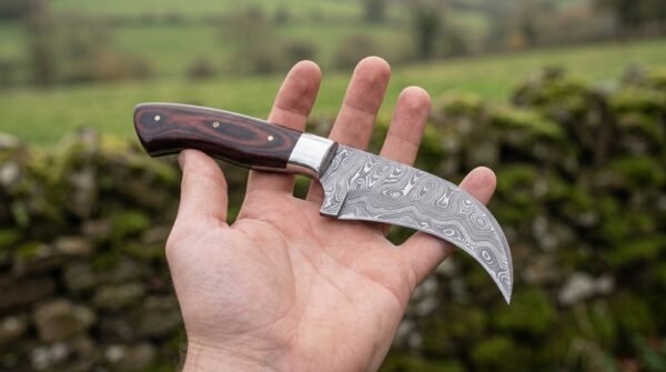 Damascus hawkbill knife with steel bolster and red brown pakka wood handle resting across an open palm by a stone wall