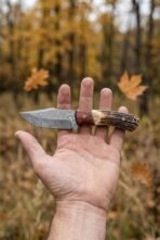 Damascus steel skinner knife with rosewood and stag handle held on an open hand in autumn woodland