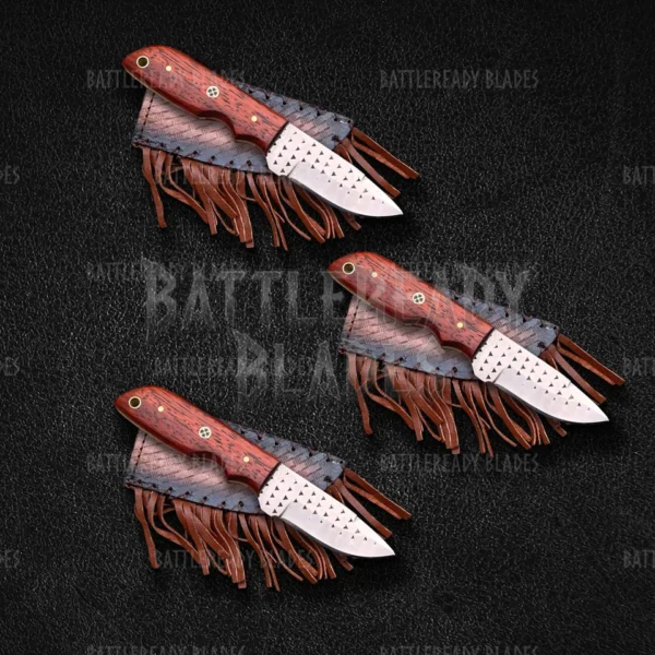 Clearance Sale-Lot Of 3 Rasp Steel Cutters W/S