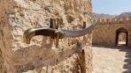 Curved steel Arabian sword with brass pommel and wooden grip resting on wall pegs above its hanging scabbard