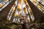 Low angle of a steel rapier raised point up in a gloved hand beneath tall pine trees in autumn light