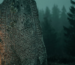 Carved Norse runestone with Viking runes and interlaced beast knotwork in misty northern forest