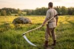 Carbon steel war scythe on a pale ash haft held at the side by a man in a linen shirt on a grassy path at sunset
