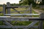 Hand forged norse sword with a bone white grip and brass disc pommel resting on a weathered farm gate with the full Elder Futhark cut along the blade