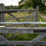 Hand forged norse sword with a bone white grip and brass disc pommel resting on a weathered farm gate with the full Elder Futhark cut along the blade