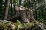Polished steel bearded axe with wooden haft resting in its carved hardwood presentation box on a tree stump in the forest