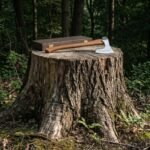 Walnutskeg Hand Forged 1095 Steel Bearded Axe | Rune Engraved Head | Hickory Haft with Carved Hardwood Presentation Box | Groomsman Gift | RK-1877