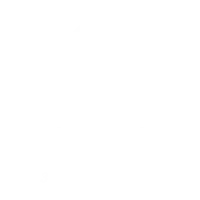 viking-badge-guarantee